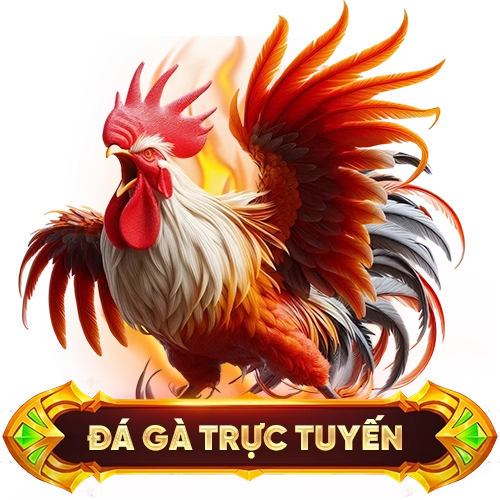 đá gà trực tuyến OKKING
